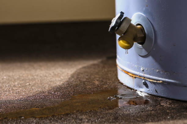 Best Water damage restoration mold remediation  in Tucson Mountains, AZ