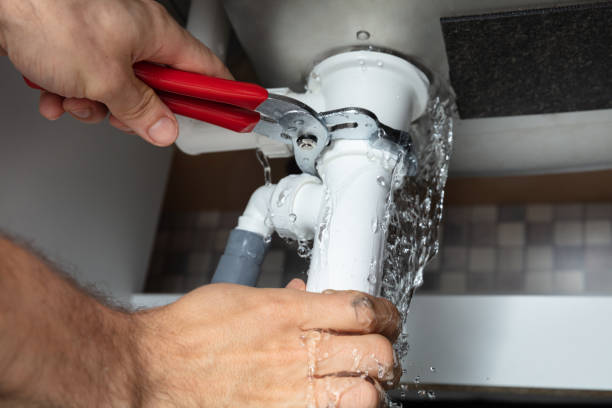 Best Ceiling water damage repair  in Tucson Mountains, AZ