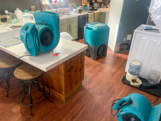 Best Water damage restoration near me  in Tucson Mountains, AZ