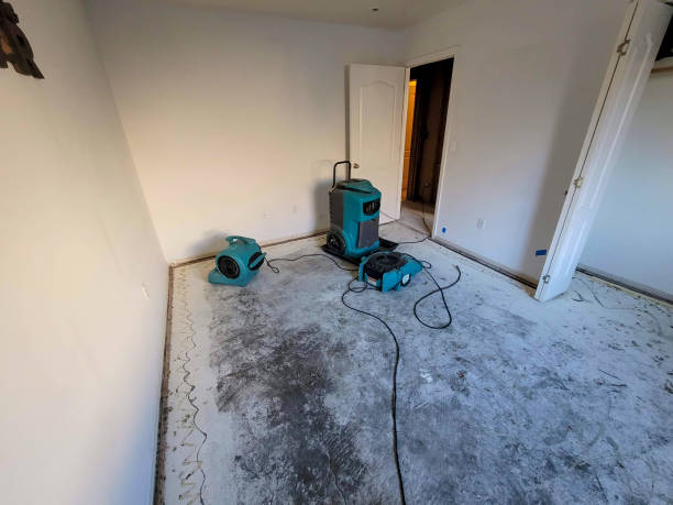 Best Water damage cleanup near me  in Tucson Mountains, AZ