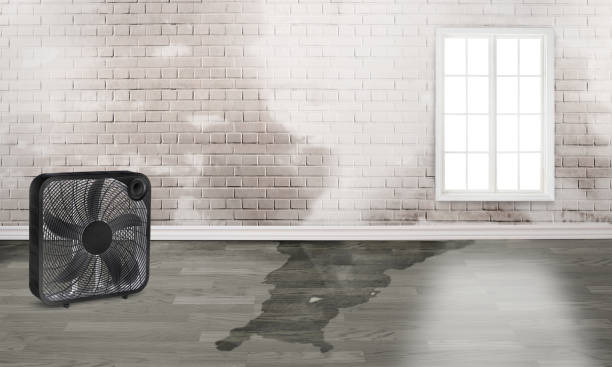 Best 24-hour water damage restoration  in Tucson Mountains, AZ