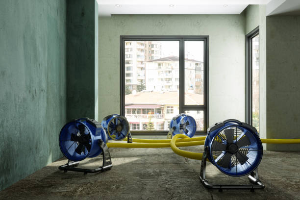 Best Local water damage restoration  in Tucson Mountains, AZ