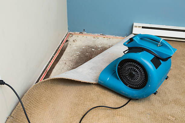 Best Water damage contractors near me  in Tucson Mountains, AZ